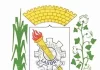Hino Municipal de Nova Olinda